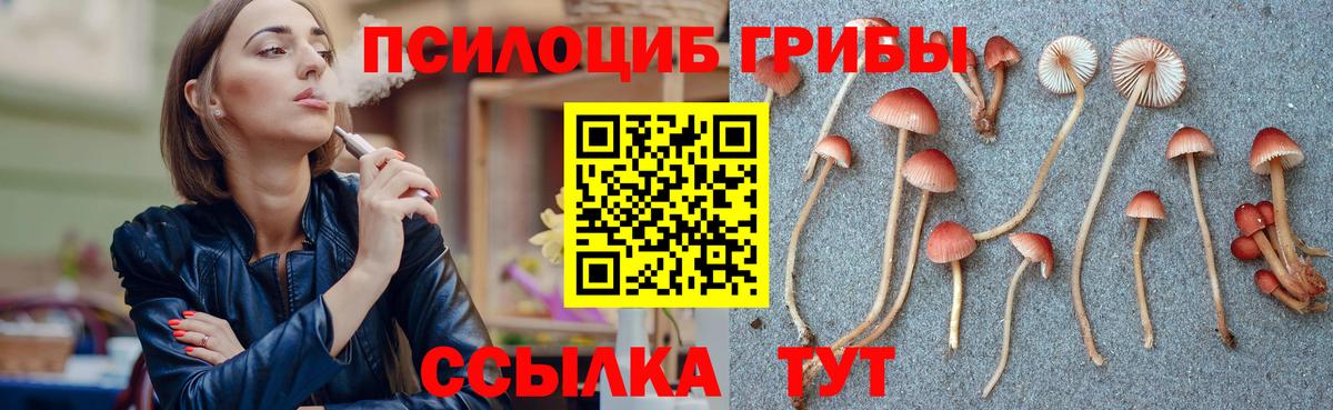 Псилоцибиновые грибы ЛСД Бутурлиновка
